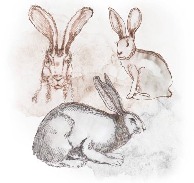 Güzel bir watecolor ağacı deseni çiziyor.