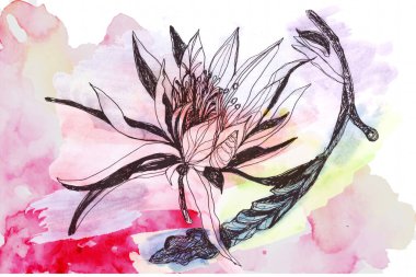 Güzelim strelitzia retinae ve bir böceğin grafik kompozisyonu