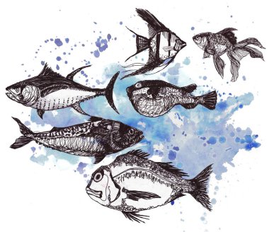 Deniz ürünleri balıklarının grafik deseni