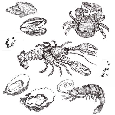 Deniz ürünleri yengeci, karides ve ıstakozunun grafik deseni