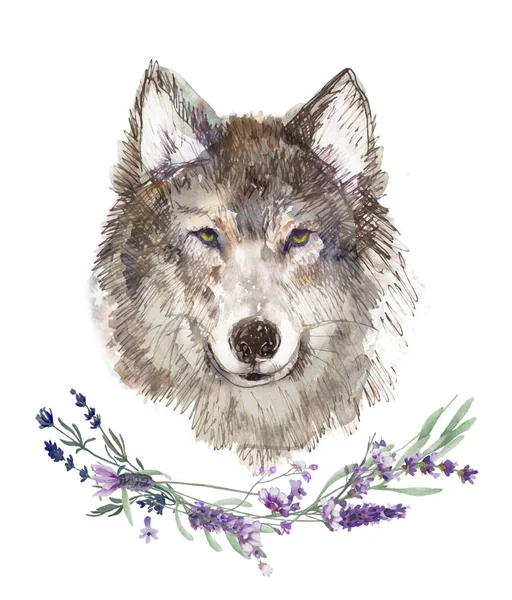 Grey Wolf Character Portrait Looking Camera Hand Painted Watercolour Illustration — Stock Photo, Image