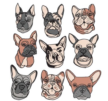 Hayvan evcil kuşlarının çizimi