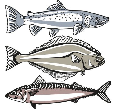 skeç, çizim, sanat, vektör, şablon, dijital, renk, beyaz 