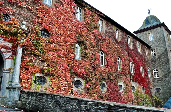 Höstfärger Stenmurarna Vid Schnellenbergs Slott Attendorn Tyskland Distriktet Olpe Nordrhein — Stockfoto