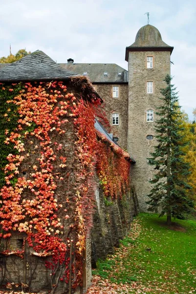 Ljusröda Blad Täcker Stenmur Burg Schnellenberg Attendorn Tysk Stad Olpe — Stockfoto