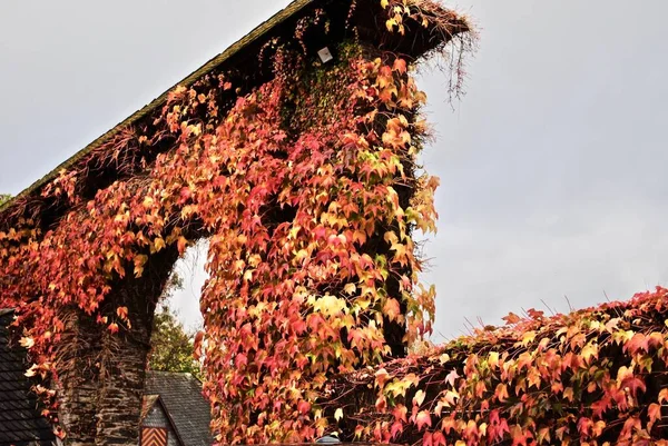 Sonbahar Yaprakları Burg Schnellenberg Kemerli Girişini Kapatıyor Attendorn Almanya Kuzey — Stok fotoğraf