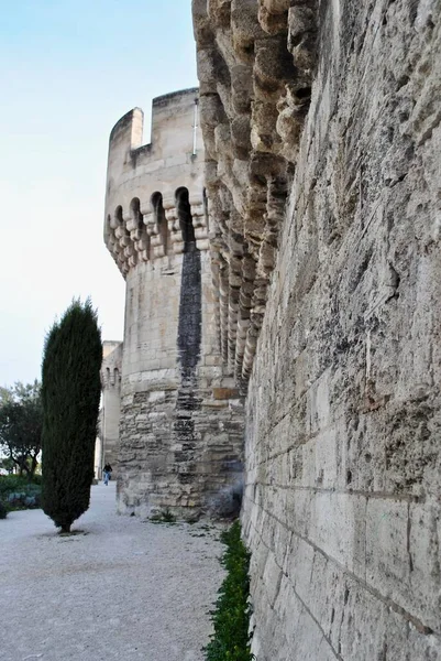 Πόλη Αβινιόν Της Γαλλίας Περιβάλλεται Από Χιλιόμετρα Μεσαιωνικών Τειχών Οχυρώσεων — Φωτογραφία Αρχείου