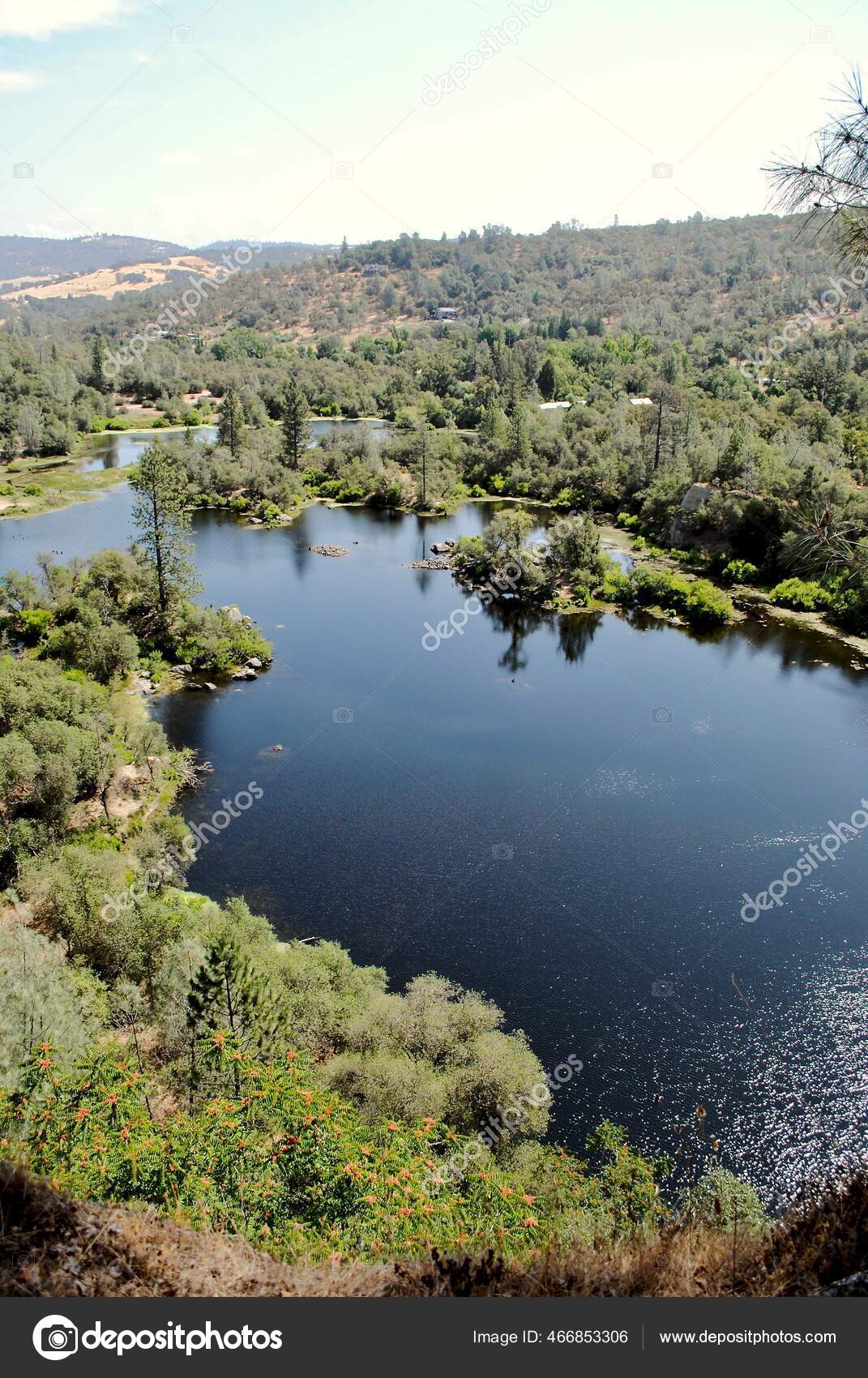Black Swan Trail Managed Bear Yuba Land Trust Smartsville California