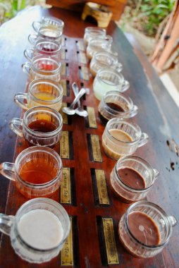Bali Kahve Çiftliği 'nde kahve ve çay tatma tahtası. Bali ve Cava 'da yetişen 18 çeşit kahve ve çay. Luwak kahvesi dünyanın en pahalı kahvesi.. 