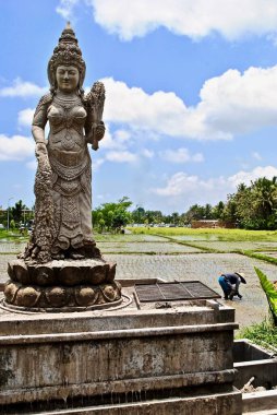 Arka planda pirinç terasları olan Bali Hindu heykeli. Dewi Sri veya Shridevi, Cavalı, Sundanlı ve Balili Hindu öncesi ve İslam öncesi pirinç ve doğurganlık tanrıçasıdır.