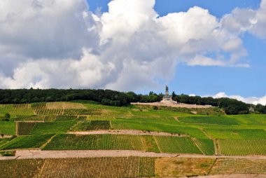 Niederwalddenkmal, Germania heykeli tepenin üzerinde üzüm bağı gibi duruyor. Bingen Am Rhein 'den Rdesheim Am Rhein, Almanya' ya götürüldü.. 