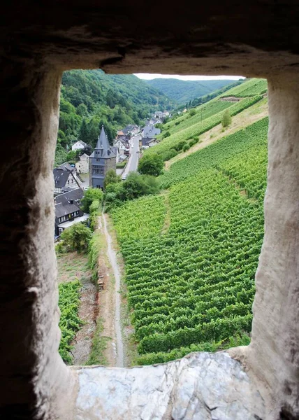 Blick Vom Postenturm Auf Weinberge Und Reben Und Das Steeger — Stockfoto