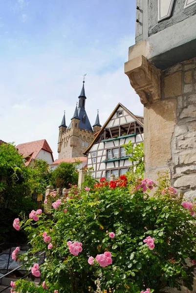 Geleneksel yarı keresteli evler ve pembe güllü (Blauer Turm) Mavi Kule ve Bad Wimpfen, Almanya 'da Baden-Wrttemberg' de Heilbronn ilçesine bağlı taş bir duvar..