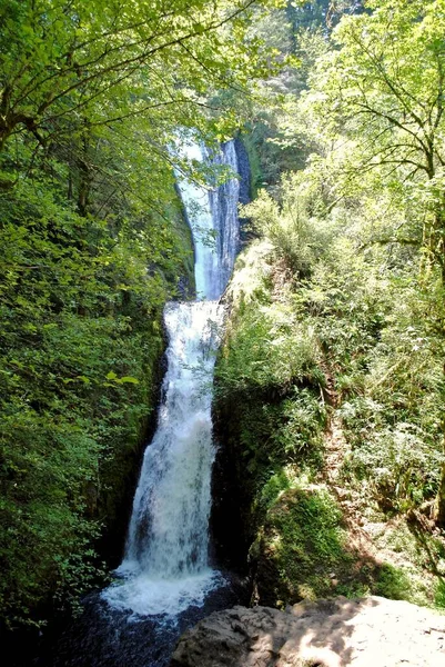Bridal Veil Falls Водоспад Розташований Річці Бридал Вейл Крік Ущелині — стокове фото