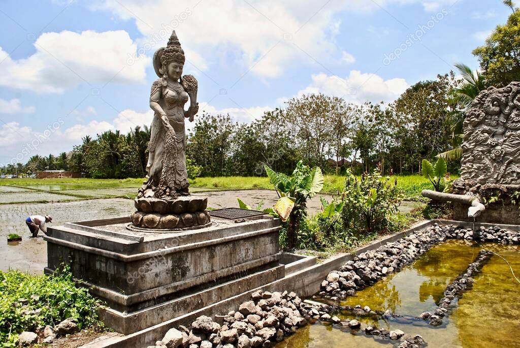 Balinese Hindu statue with rice terraces in background. Dewi Sri or Shridevi is the Javanese, Sundanese, and and Balinese pre-Hindu and pre-Islam goddess of rice and fertility, worshiped Bali and Java