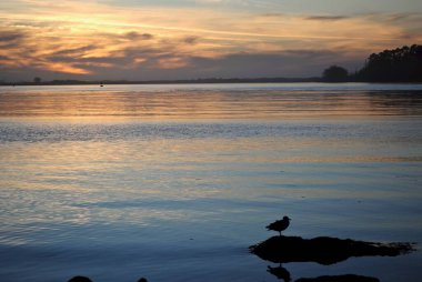 Eureka 'da günbatımı, California' nın Humboldt Körfezi 'ndeki Pasifik sahili. Humboldt Körfezi, Arcata Bataklığı 'ndaki bataklık ve derelerden Loleta' daki Humboldt Körfezi Ulusal Vahşi Yaşam Sığınağı 'na kadar uzanır.. 