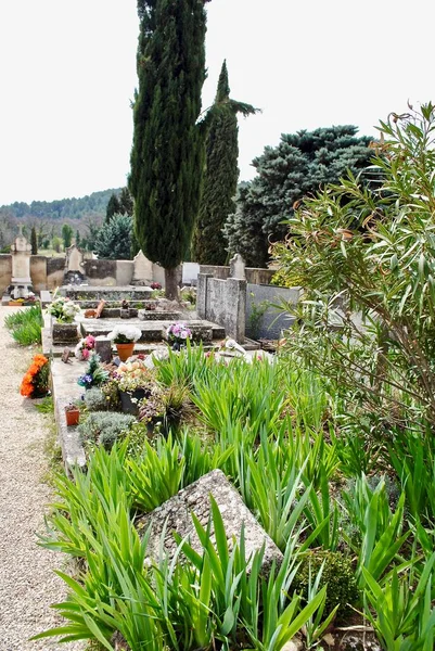 Grab Von Albert Camus Lourmarin Provence Frankreich Der Mit Dem — Stockfoto