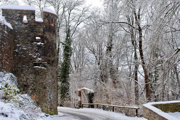 Escena Invernal Helada Castle Burg Frankenstein Castillo Cima Una Colina — Foto de Stock