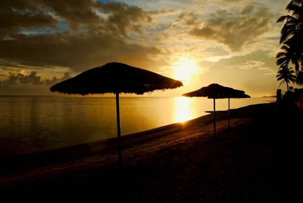 Viti Levu, Fiji 'nin Coral Sahili' nde gün batımı. Pasifik Okyanusu 'nda altın gün batımı sazdan şemsiyeler ve insan olmadan..