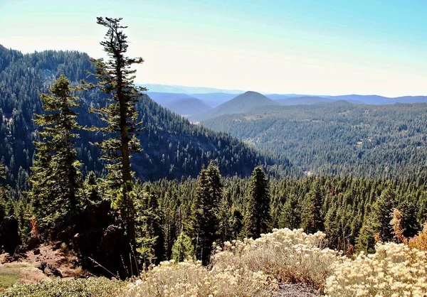 Lassen Volcanic National Park California Lassen Peak Highway Leads Visitors — Stock Photo, Image