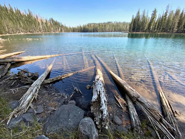 Lassen Volcanic National Park California Lower Twin Lake Twin Lakes — Stock Photo, Image