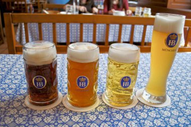 Münih, Almanya: Hofbrauhaus (Hofbruhaus) birası - Dunkel (koyu), Helles (lager), Radler (limonata ile karıştırılmış), Weibier (buğday) mavi ve beyaz masa örtüsü üzerine HB bira bardakları (ma olarak adlandırılır). 