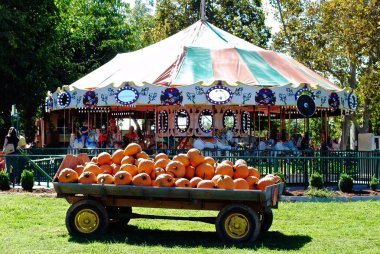 Kaliforniya, Wheatland 'da Bishop' s Pumpkin Çiftliği. Atlıkarınca, döner kavşak, ya da balkabağı tarlasında turuncu balkabağı arabasıyla atlı karınca..