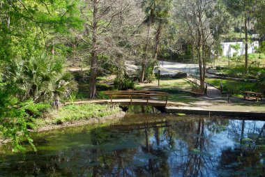 Ravine Gardens Eyalet Parkı, Florida, Palatka 'da Florida Eyalet Parkı. Piknik alanları, bahçeler, yürüyüş yolları, köprü ve gölet. 