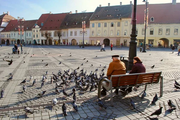 Sibiu Transylvania Romania Пожилая Пара Сидящая Скамейке Кормящих Голубей Городской — стоковое фото