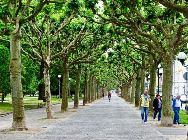 Wiesbaden, Almanya: Wilhelmstrae (Wilhelm Caddesi) yakınlarında bulunan Warmen Damm (Sıcak Gölet) Parkı 'nda yayalar ve bir bisiklet sürücüsü ile birlikte ağaçlı bir gezinti alanı. 