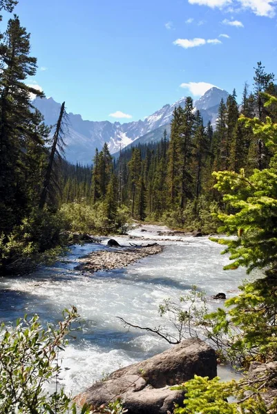 Yoho River Yoho National Park British Columbia Canada Yoho National — Stock Photo, Image