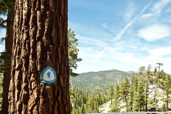 Stateline, Nevada: Tahoe Rim Trail marker on a tree. Blue and white Tahoe Rim Trail logo with a map of Lake Tahoe and the trail. Located near Kingsburry South trail head and Heavenly Ski Resort.