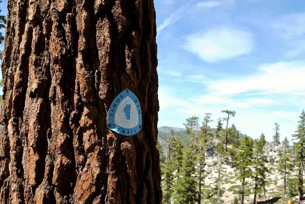 Stateline, Nevada: Tahoe Rim Trail marker on a tree. Blue and white Tahoe Rim Trail logo with a map of Lake Tahoe and the trail. Located near Kingsburry South trail head and Heavenly Ski Resort.
