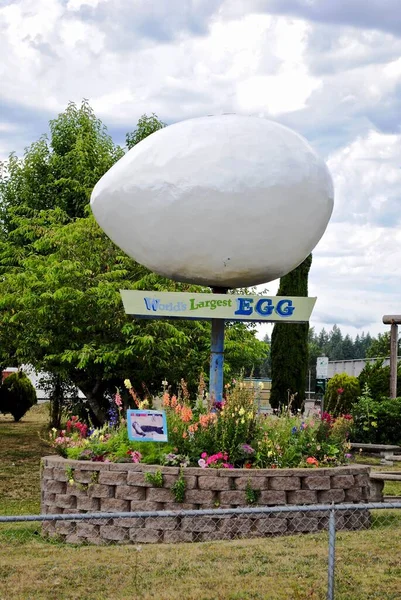 Winlock, Washington, USA: The World\'s Largest Egg. The big egg in Winlock, south of Tacoma, is twelve feet long and weighs 1,200 pounds. On the pedestal is written, \