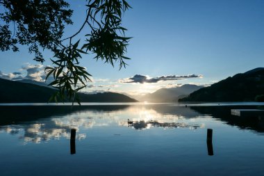 Gün batımında Avusturya 'daki Millstaetter Gölü' nde bir kuğu. Göl yüksek Alplerle çevrilidir. Gölün sakin yüzeyi güneş ışınlarını yansıtır. Önde birkaç ağaç brançı var. Güneş bulutların arkasına saklanır