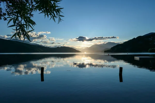 日没時にオーストリアのミルスターター湖の白鳥 湖は高いアルプスに囲まれています 湖の穏やかな表面は 太陽の光を反映します 手前に数本の木の枝がある 太陽は雲の後ろに隠れる — ストック写真