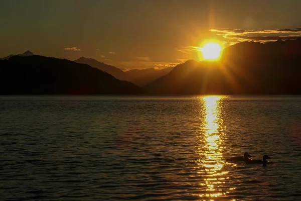 日没時に2頭のアヒルがオーストリアのミルスターター湖を横断した 湖は高いアルプスに囲まれています 陽射しを反射して湖の穏やかな表面 太陽は厚い雲の後ろに隠れる — ストック写真