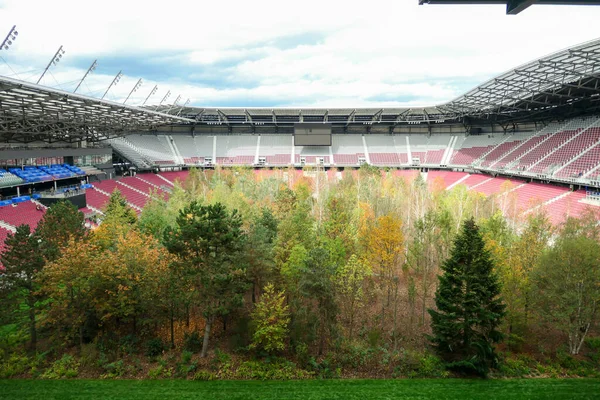 Floresta Plantada Meio Estádio Futebol Klagenfurt Áustria Gramado Assemelha Floresta — Fotografia de Stock