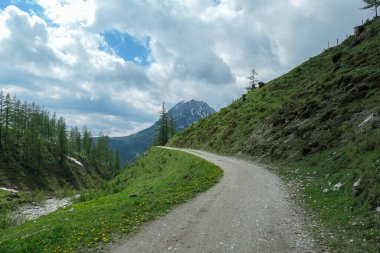 Avusturya 'nın Dachstein bölgesindeki Alp Vadisi' nden geçen çakıllı bir yol. Etrafı karla kaplı yüksek bir dağ. Taşlı ve keskin dağlar. Bulutlu. Dağ eteğindeki yoğun orman.