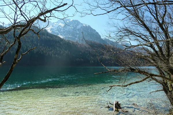 Leopoldsteiner Lake Austria Lake Surrounded High Alps Shallow Water Crystal — Stock Photo, Image