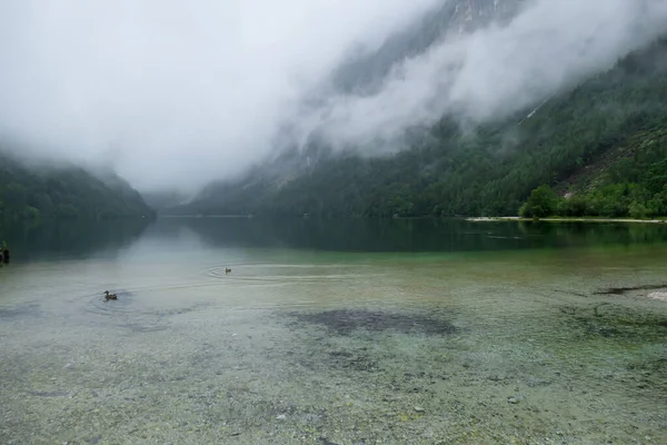 Vista Idilliaca Sul Lago Leopoldsteiner Austria Lago Circondato Alte Alpi — Foto Stock