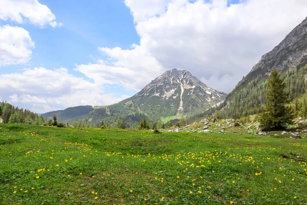 Een Panoramisch Uitzicht Alpentoppen Oostenrijk Vanuit Weelderige Groene Vallei Begroeid — Stockfoto