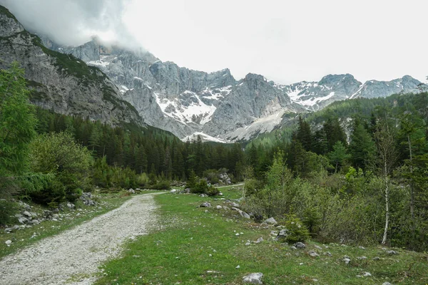 Żwirowa Droga Przez Dolinę Alpejską Austrii Regionie Dachstein Wysoka Góra — Zdjęcie stockowe