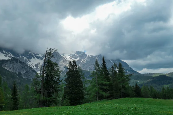 Dolina Alpejska Austrii Regionie Dachstein Bujna Zielona Łąka Wysoka Góra — Zdjęcie stockowe
