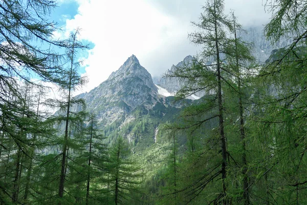 Een Alpendal Oostenrijk Regio Dachstein Weelderige Groene Weide Hoge Berg — Stockfoto