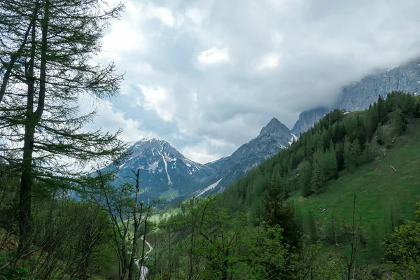 Valle Alpino Austria Región Dachstein Exuberante Prado Verde Alta Montaña — Foto de Stock