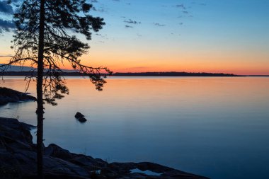 Sabahın erken saatlerinde Ladoga Gölü manzarası. Uzun süre maruz kalma. Ağacın silueti.