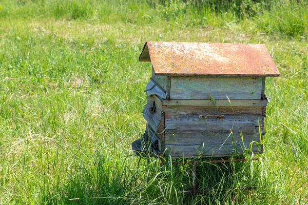 Old Backlit Hive Grassy Meadow Close Backlight — Stock Photo, Image