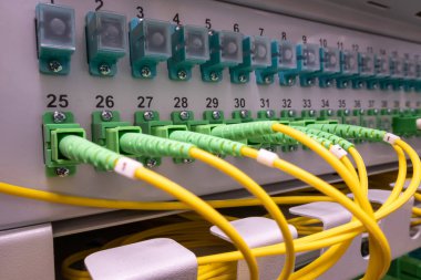 Fiber optik ağ kablolarından oluşan yama paneli. Bir rafta fiber optik kurulum