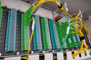 Fiber optik ağ kablolarından oluşan yama paneli. Bir rafta fiber optik kurulum